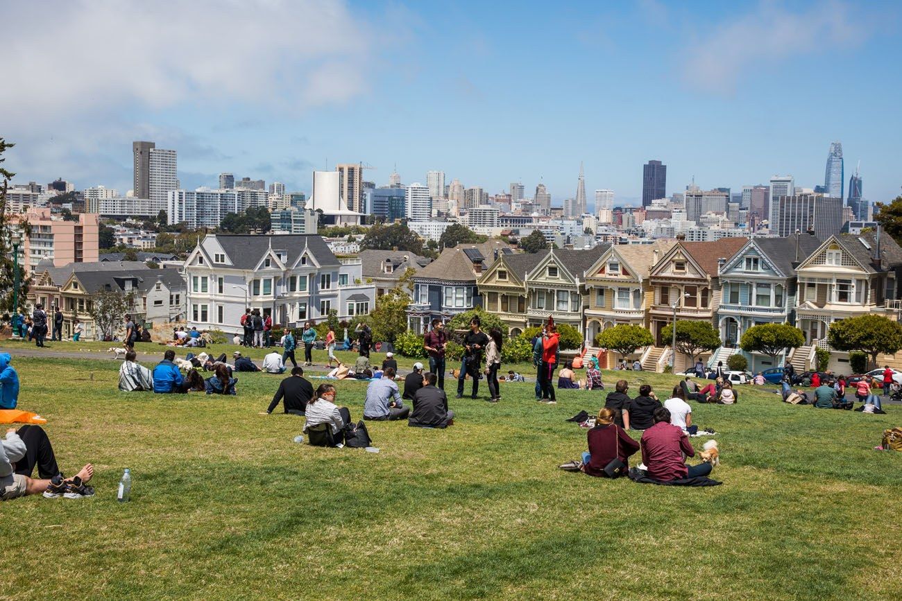 Painted Ladies