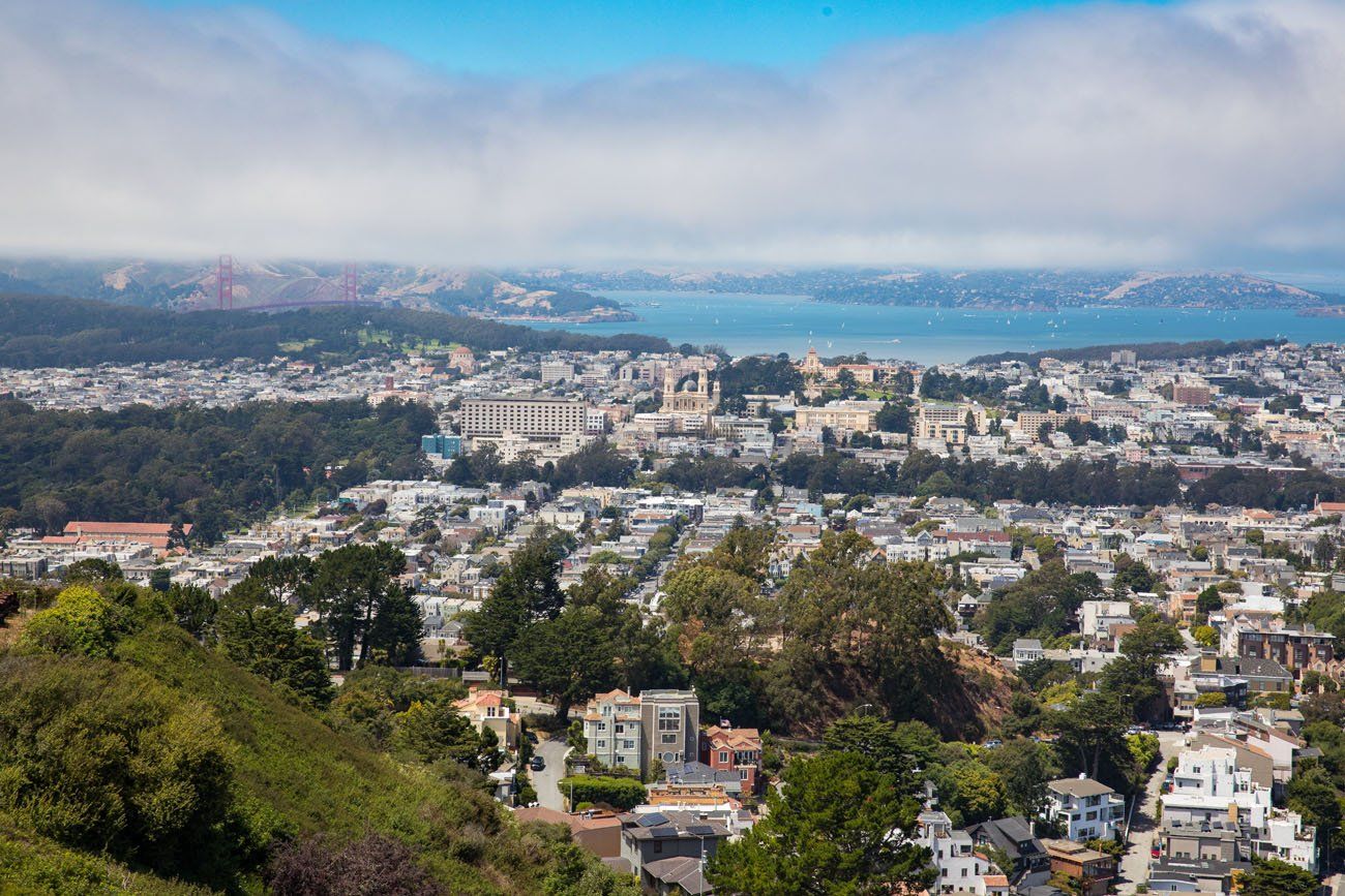 Twin Peaks View