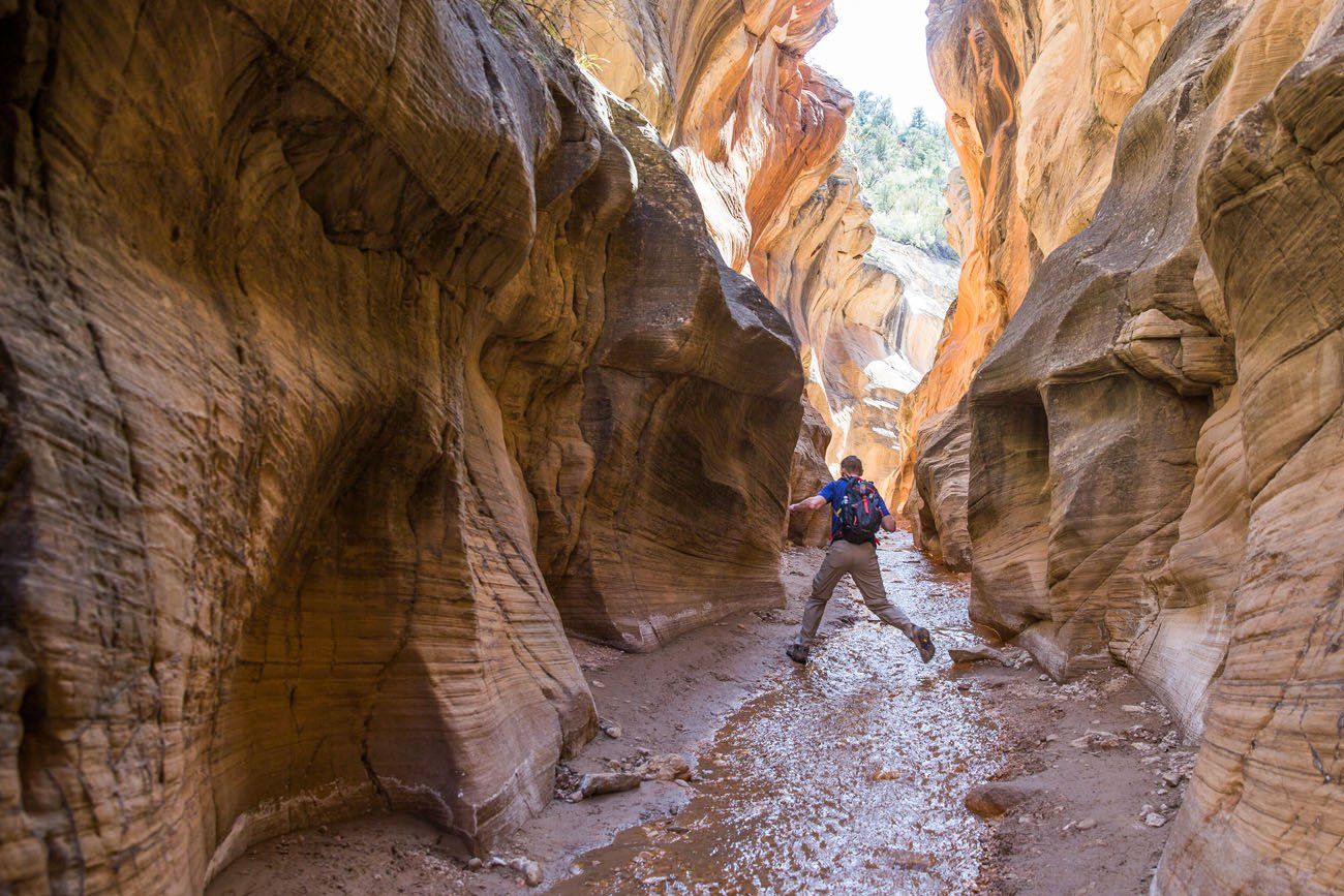 Willis Creek