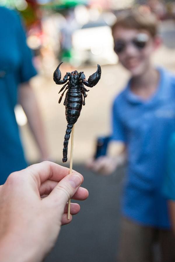 Fried Scorpion