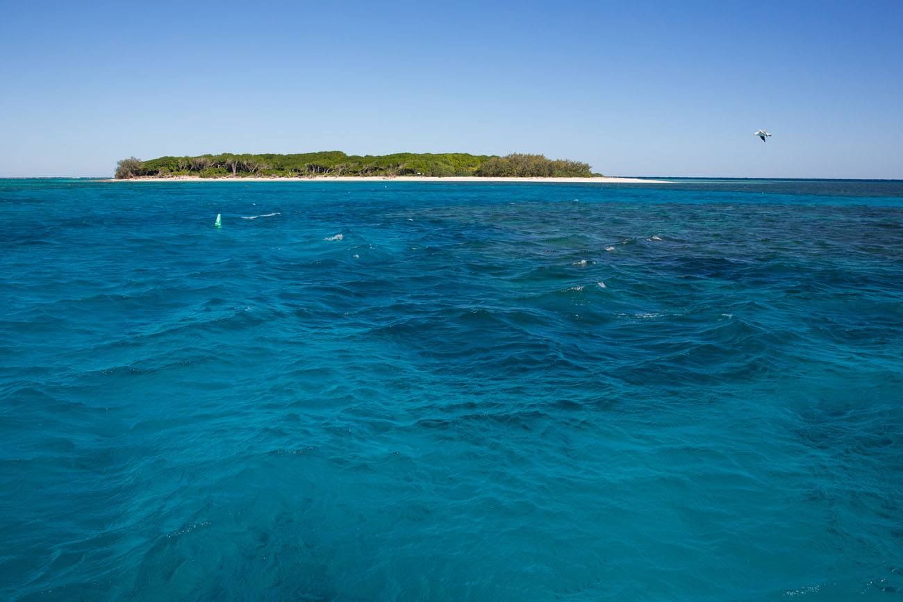 Lady Musgrave Island