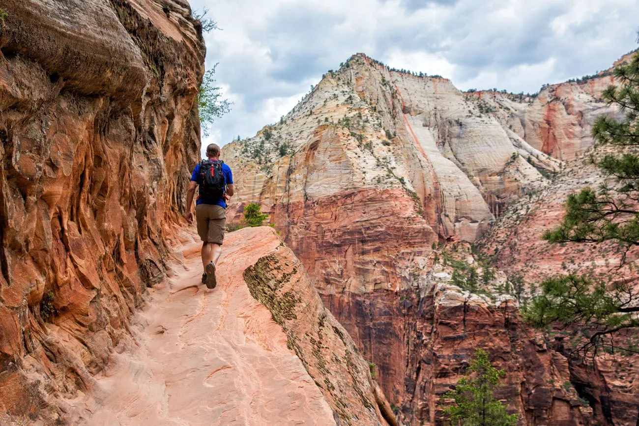 Best Zion Hikes