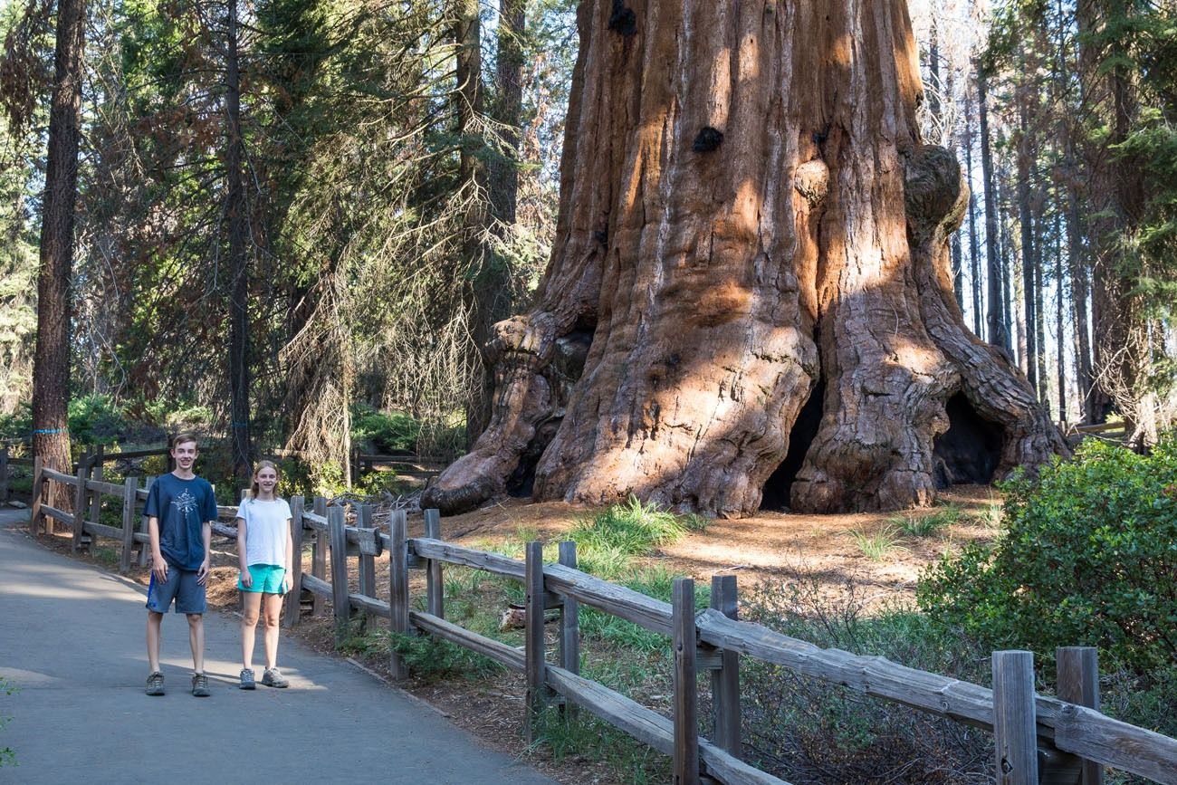 General Grant Grove