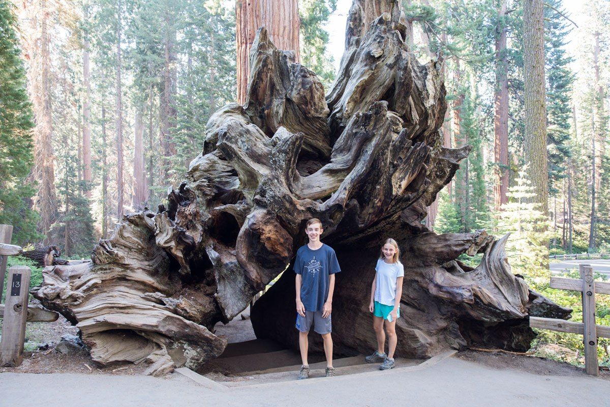 Grant Grove