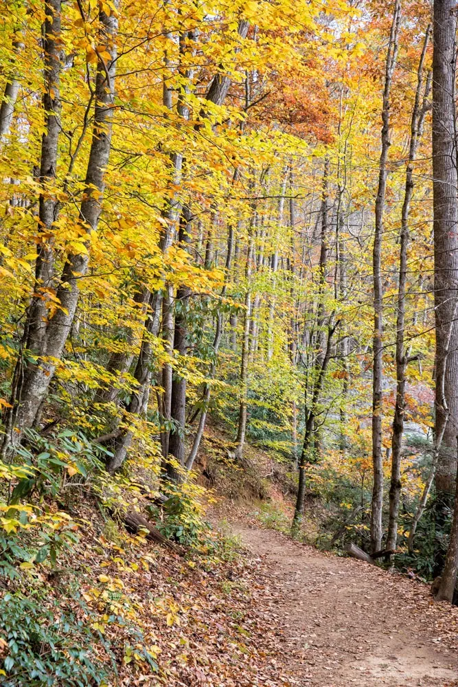 Hiking Asheville