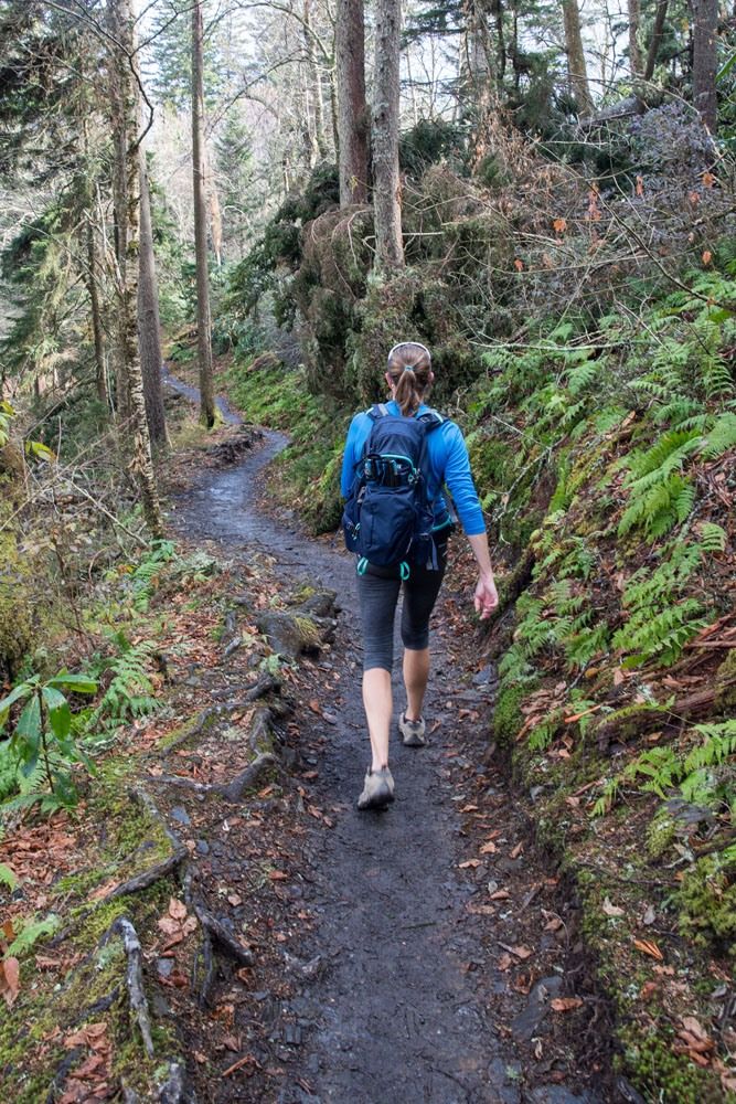 Hiking Smoky Mountains