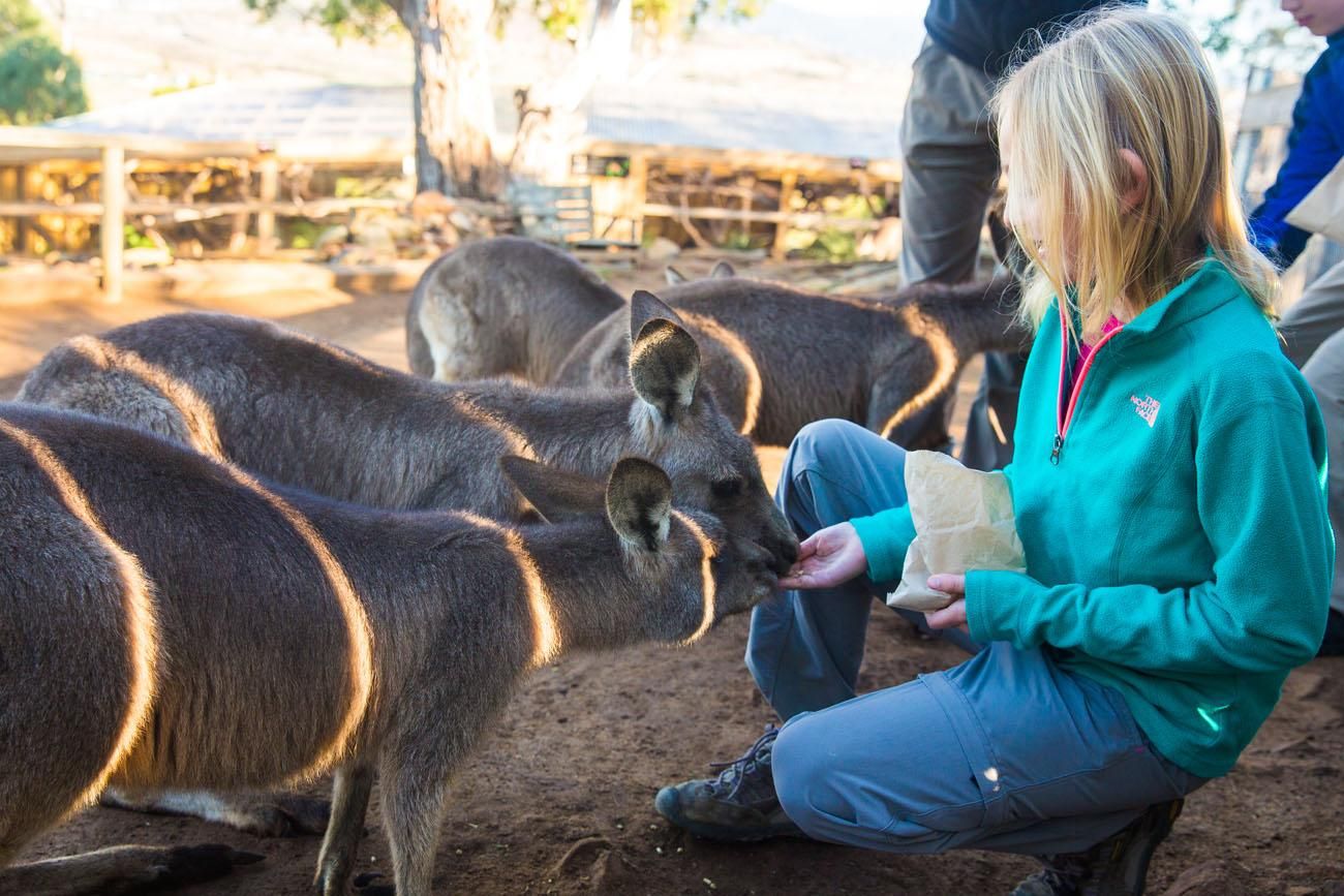 Hobart with Kids