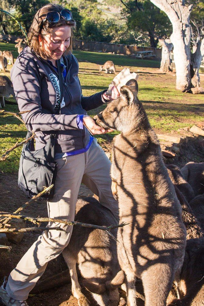 Julie and Kangaroo