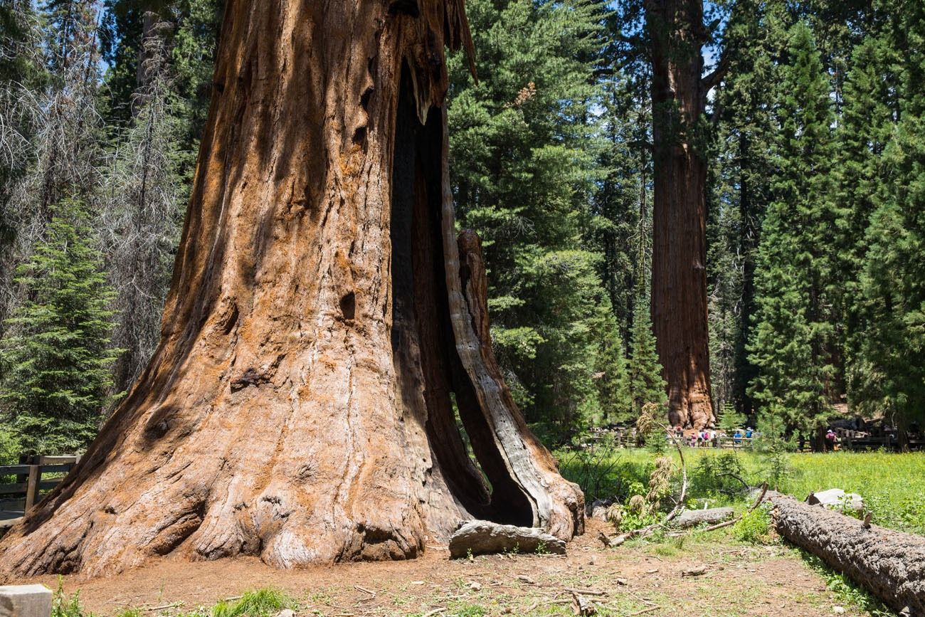 Sequoia National Park