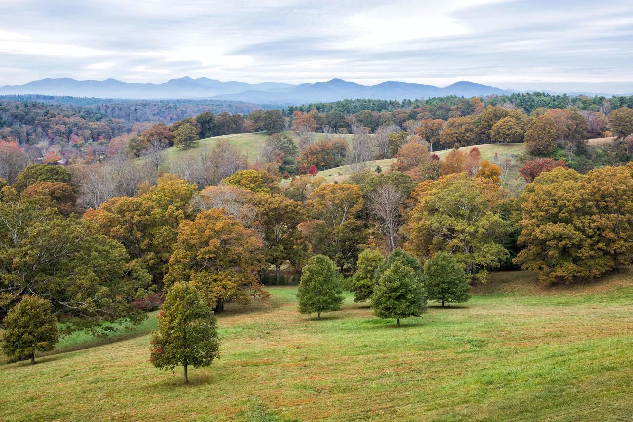 Biltmore Estate