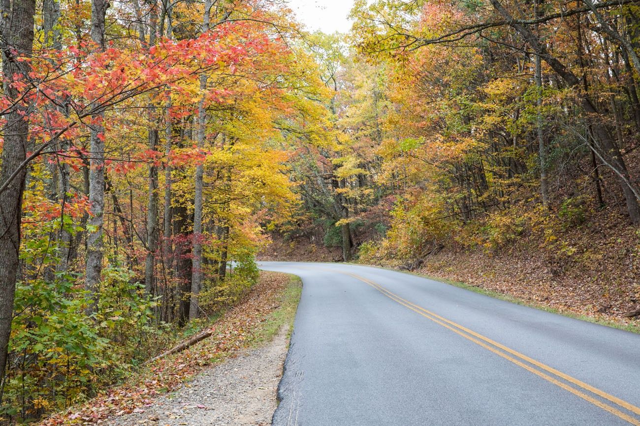 Blue Ridge Parkway