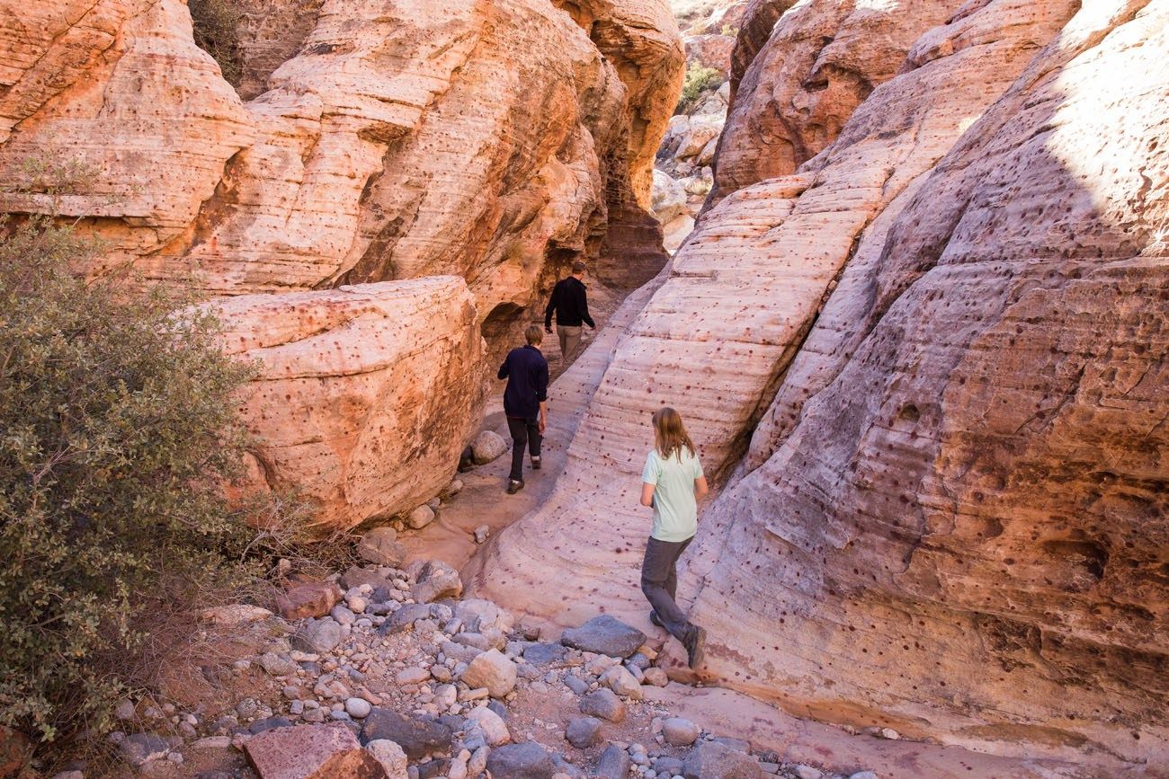 Hiking Calico Hills