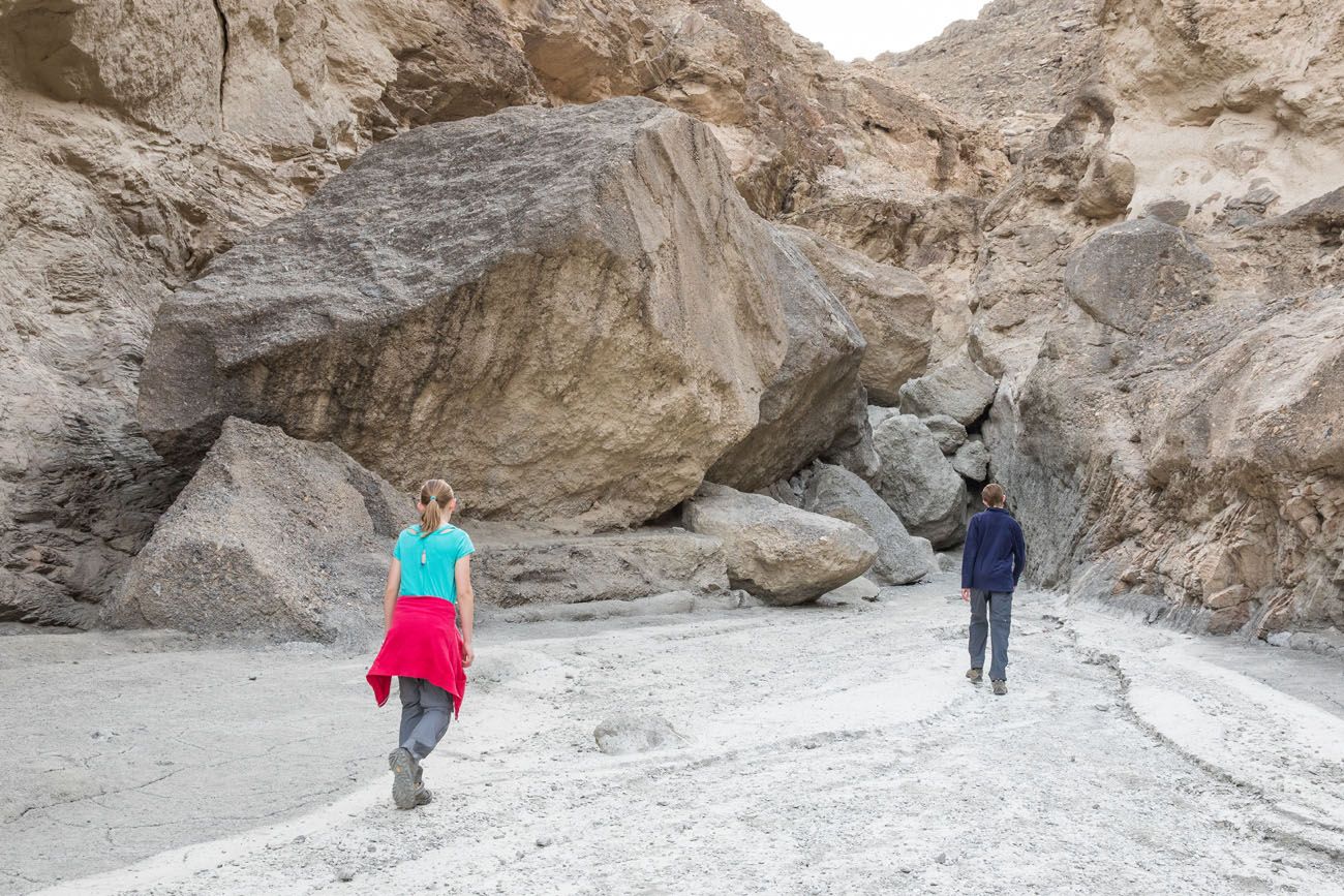 Mosaic Canyon Rock Obstacle