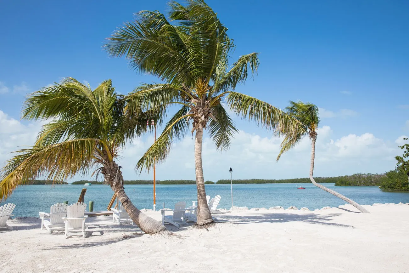 Islamorada Beach Florida Keys | Things to Do in the Florida Keys