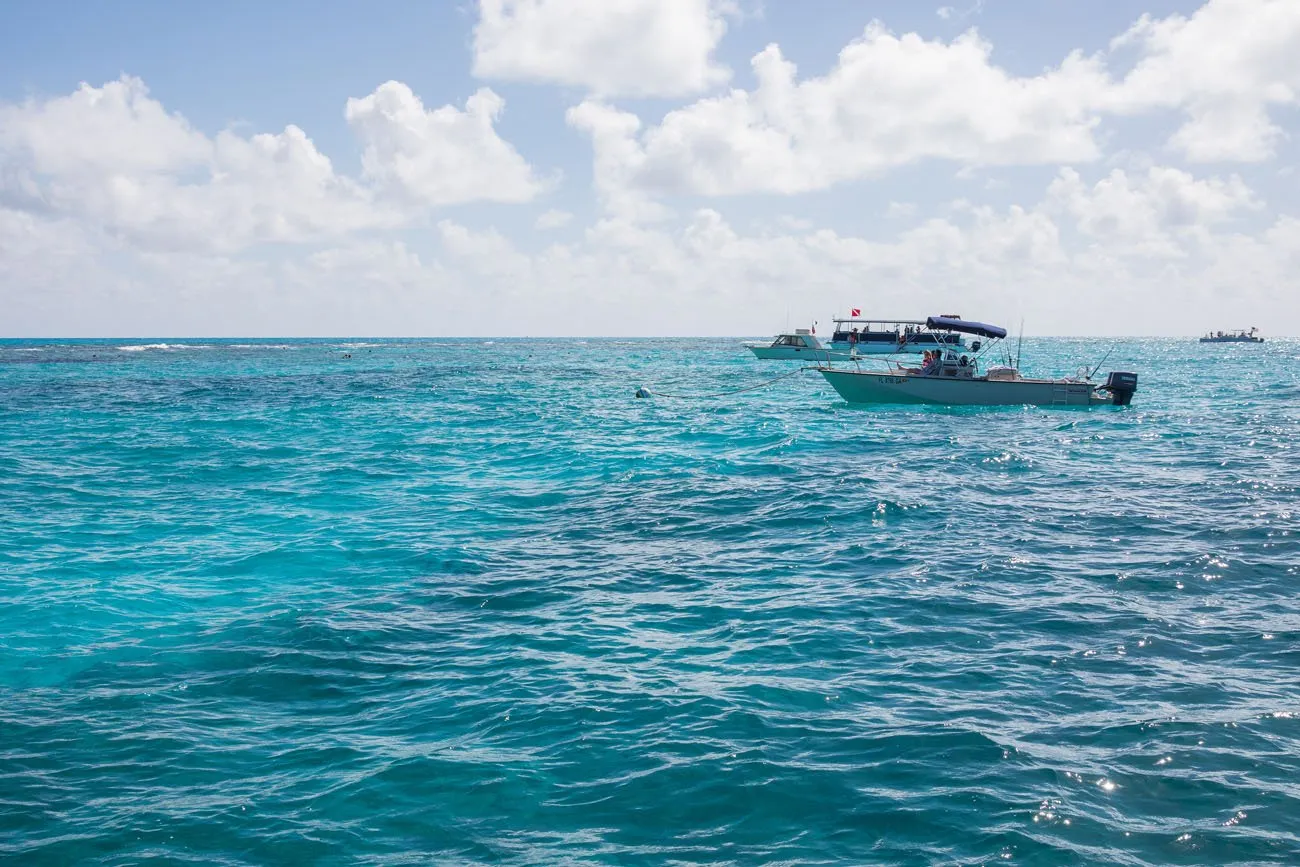 John Pennekamp Snorkeling Florida Keys | Things to Do in the Florida Keys