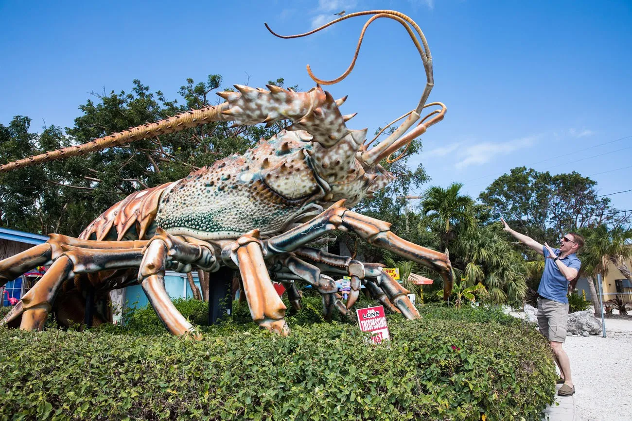 Rain Barrel Lobster