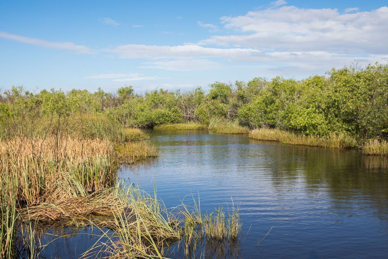 Everglades