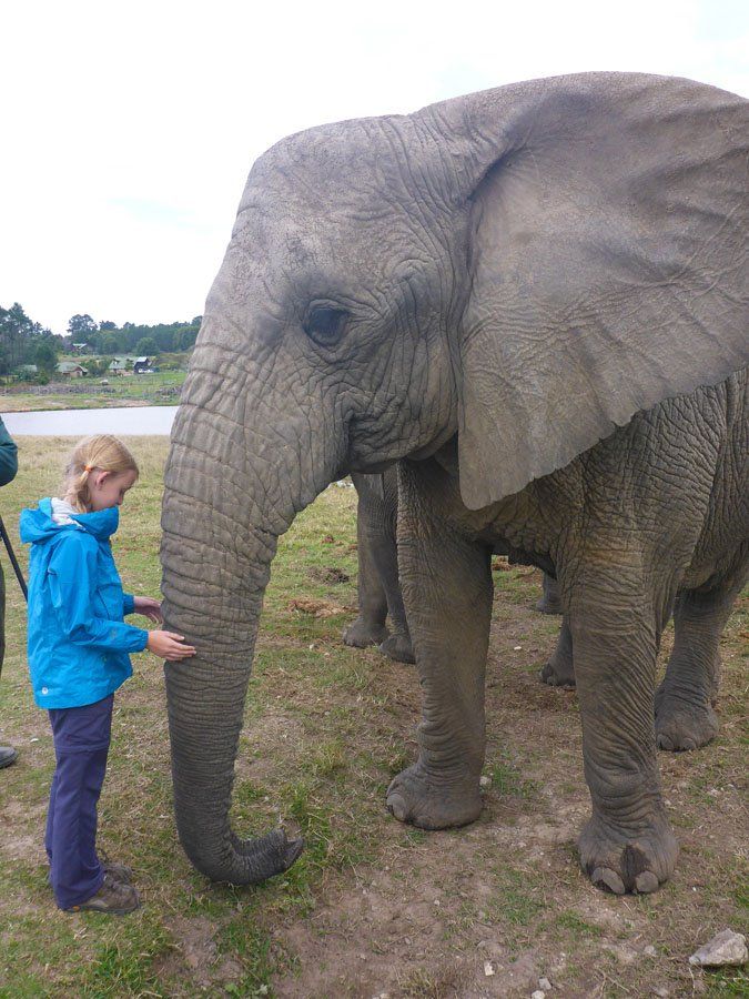 Kara and elephant