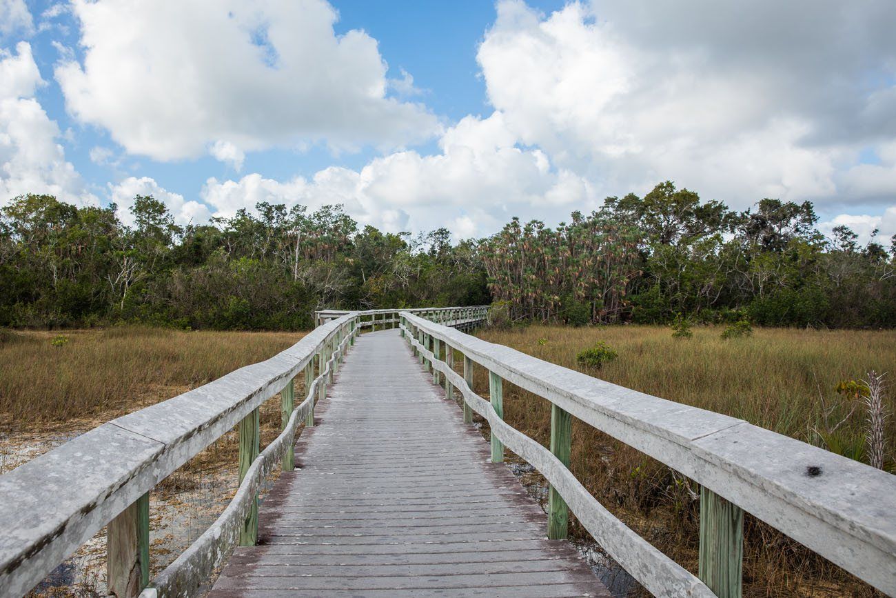 Mahogany Hammock Boardwalk