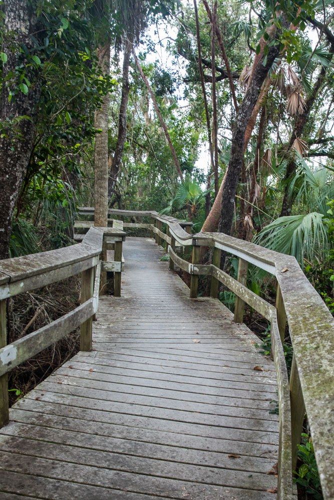 Mahogany Hammock Trail