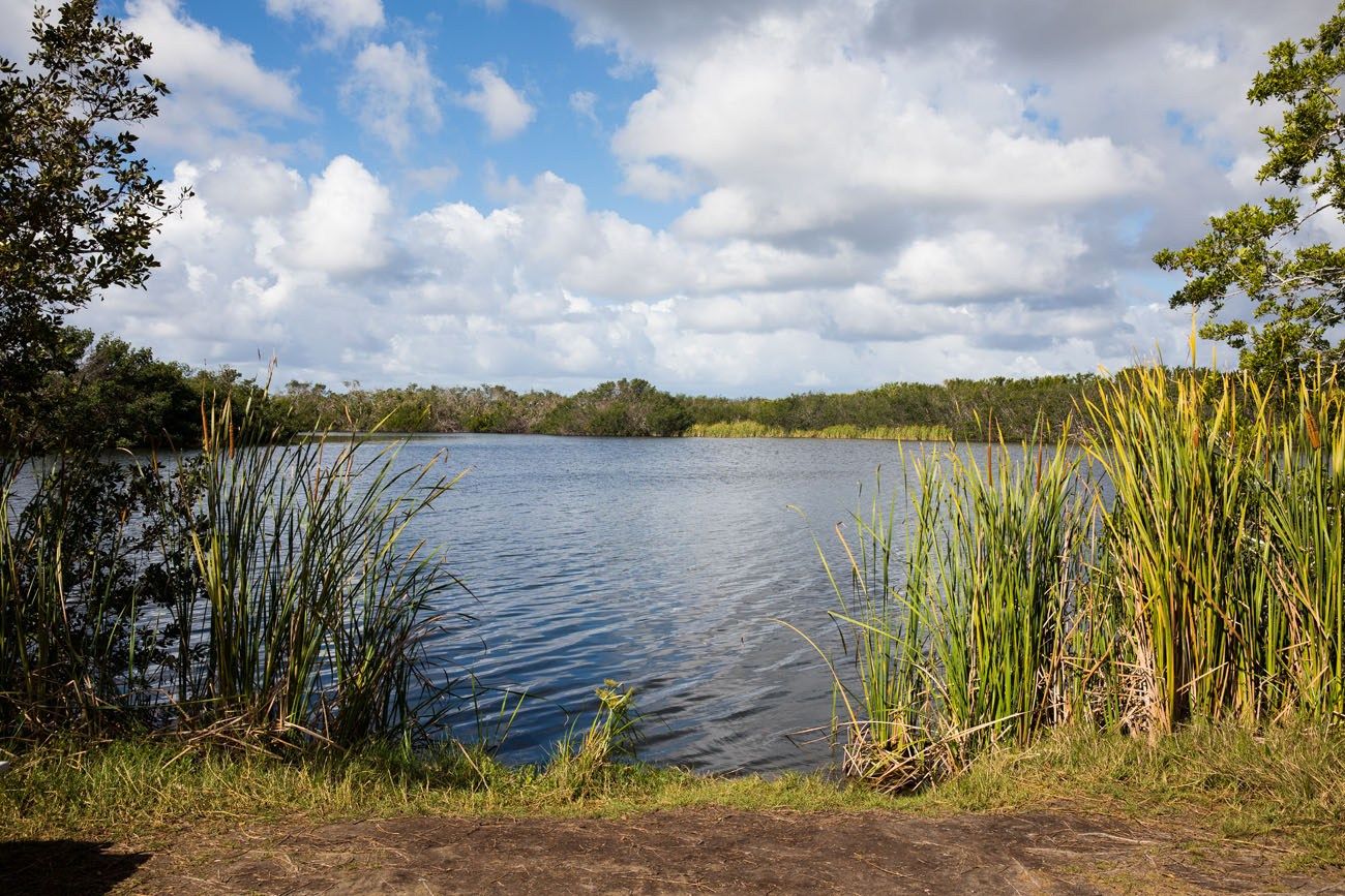 Paurotis Pond