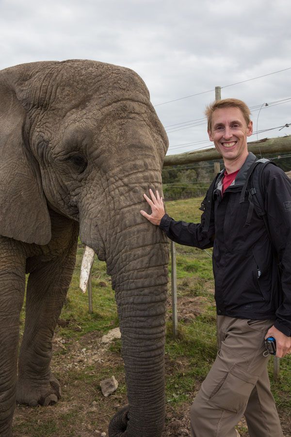 Tim and Elephant