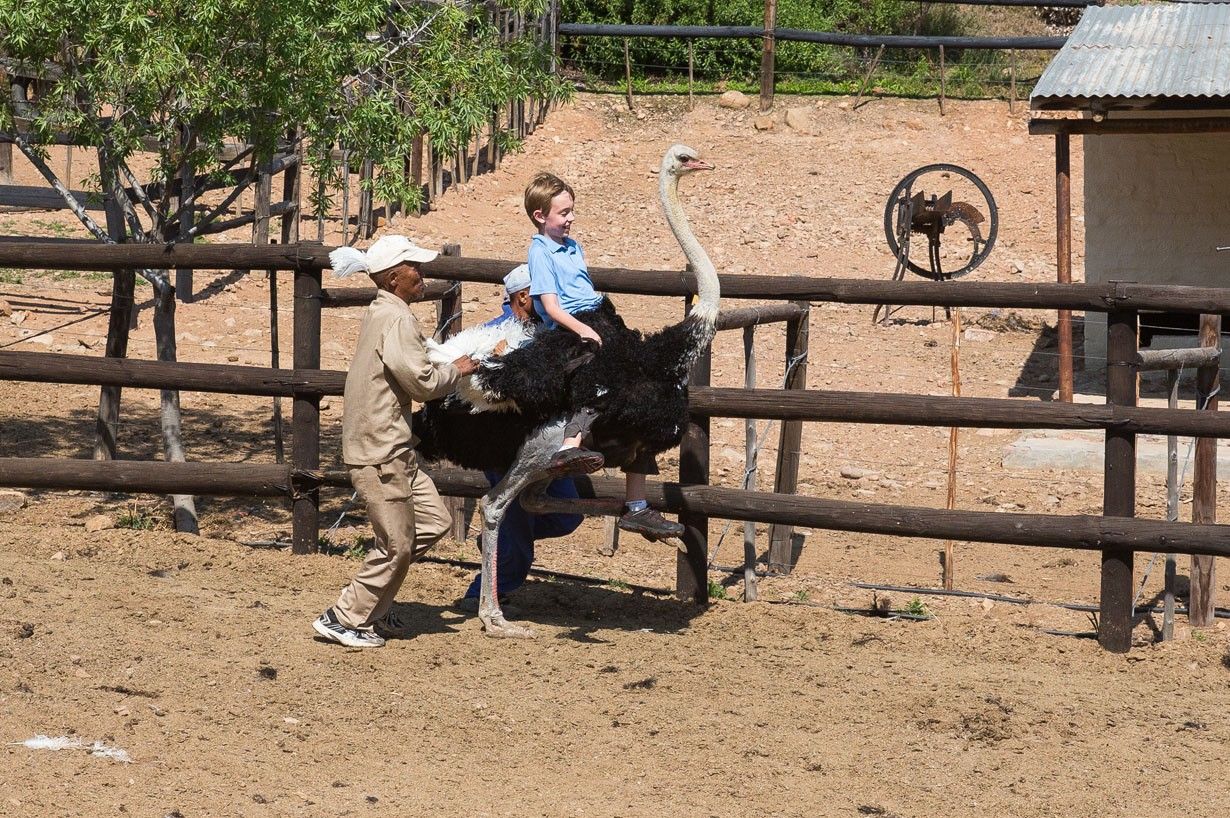 Tyler Riding Ostrich