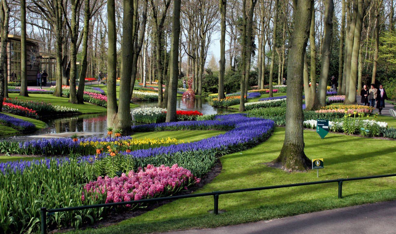 Keukenhof