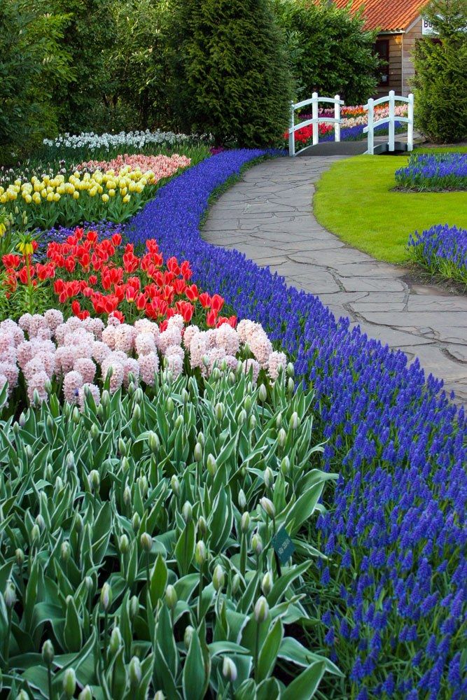 Keukenhof