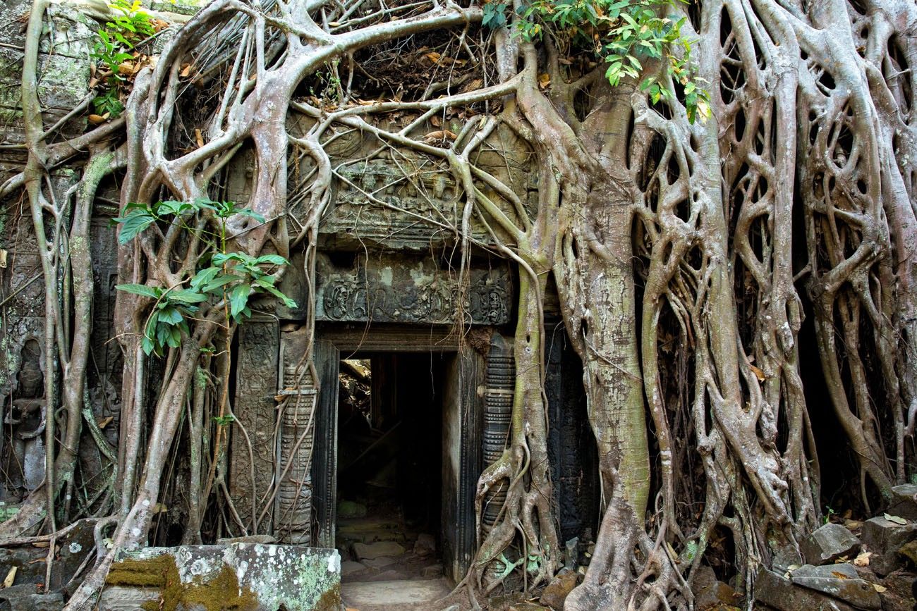 Ta Prohm