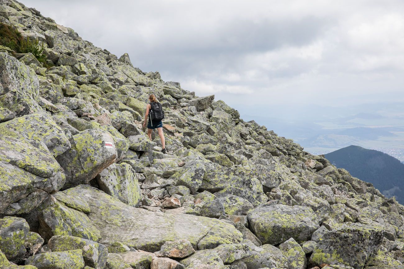 Boulder Field