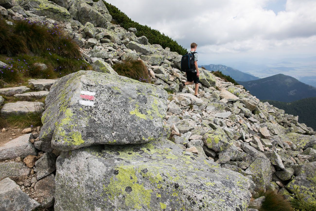 Red Marker on the Trail