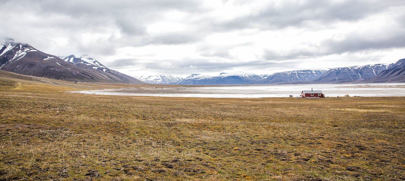 Svalbard Landscape