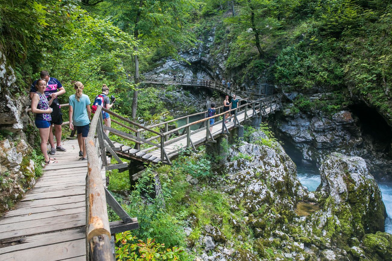 Entering Vintgar Gorge