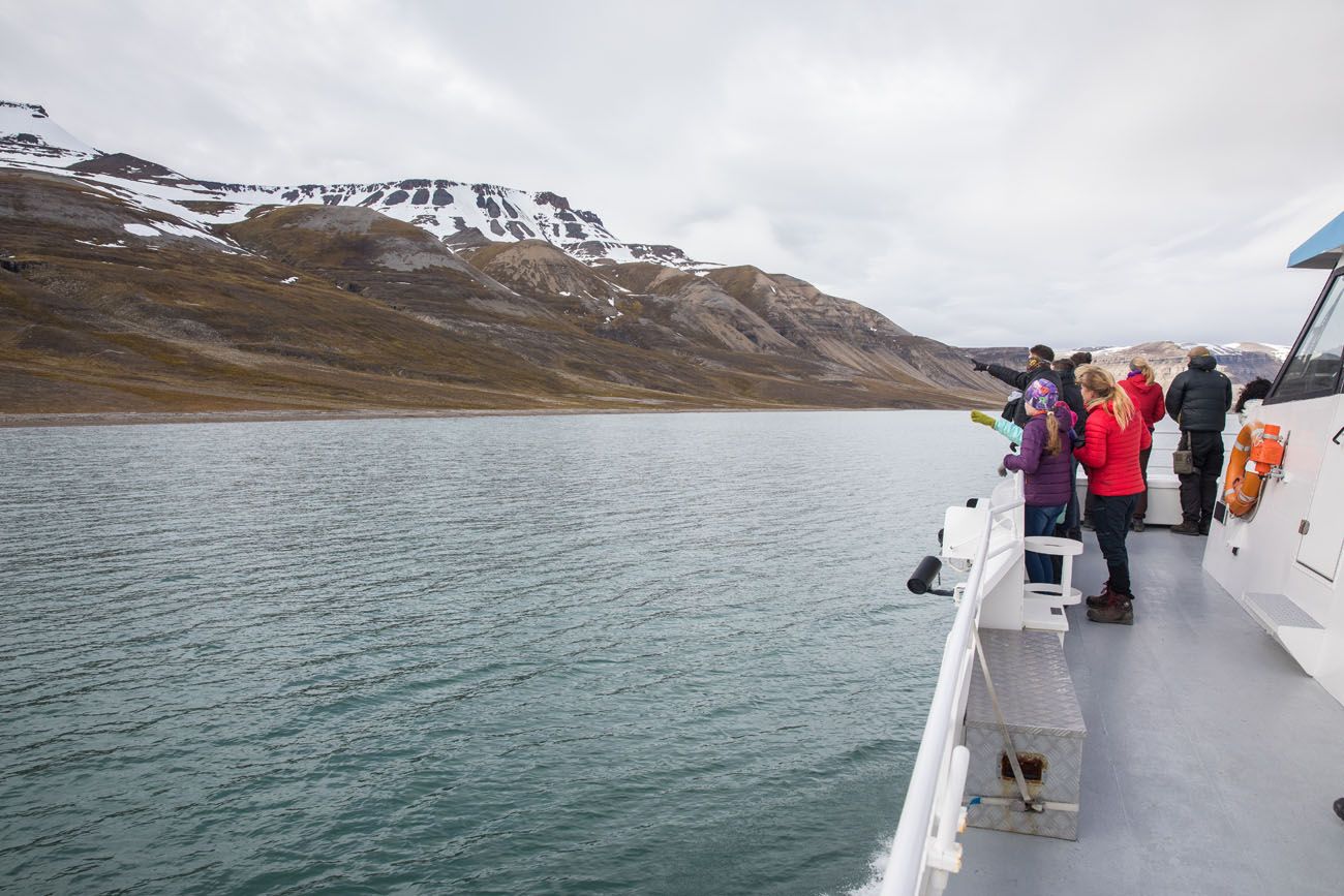 From the Catamaran