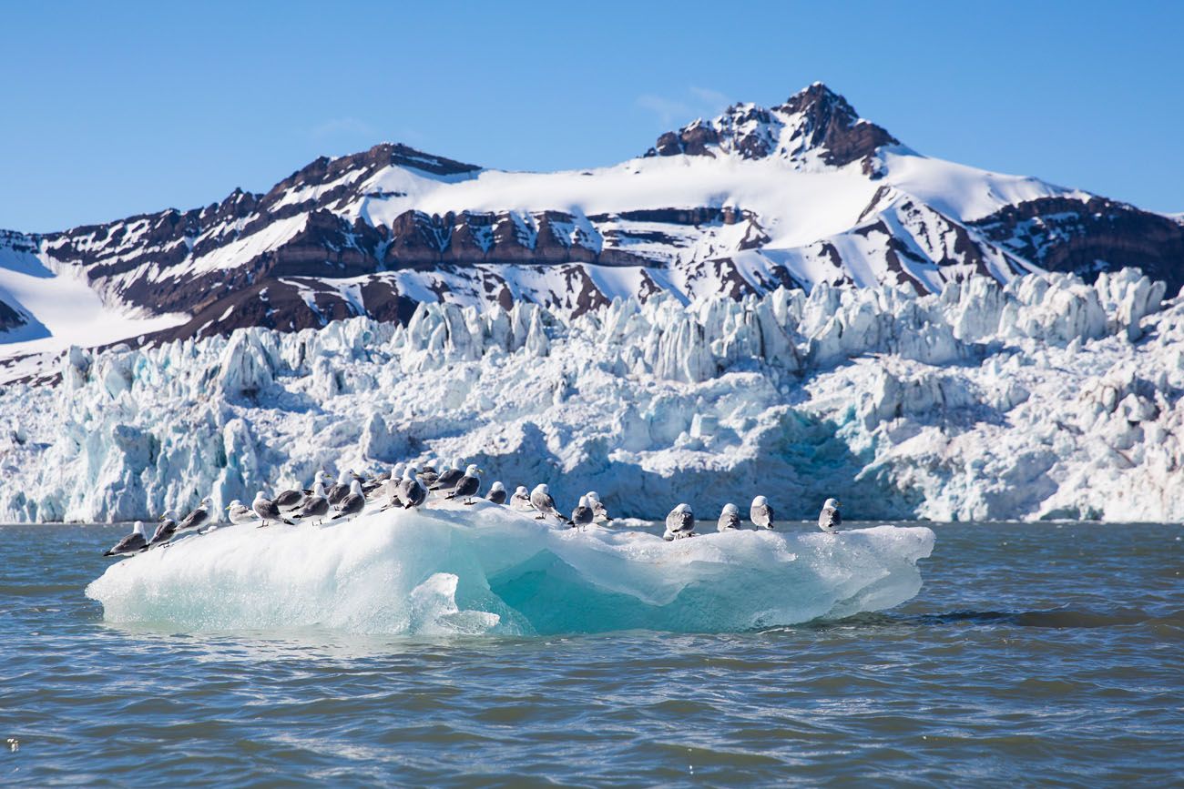 Glacier Svalbard