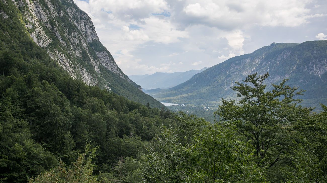 Lake Bohinj View