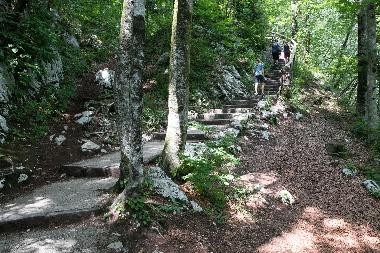 Savica Waterfall Trail
