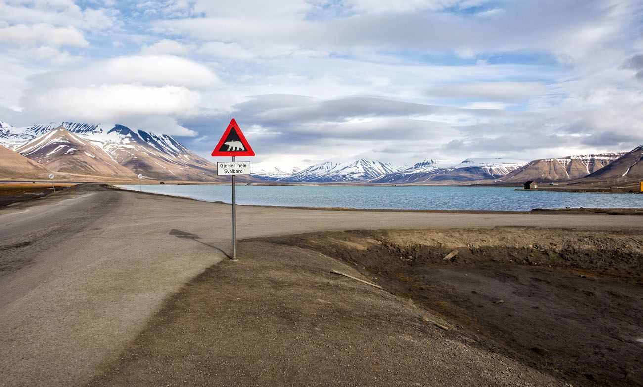 Svalbard Polar Bear Sign