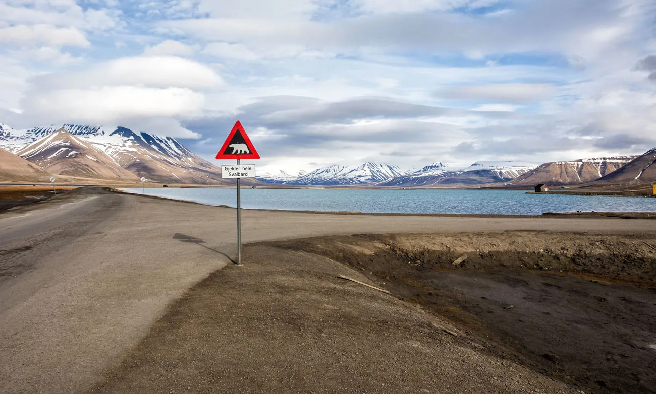 Svalbard Polar Bear Sign