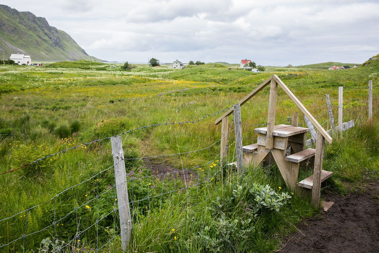 Fence on the Trail