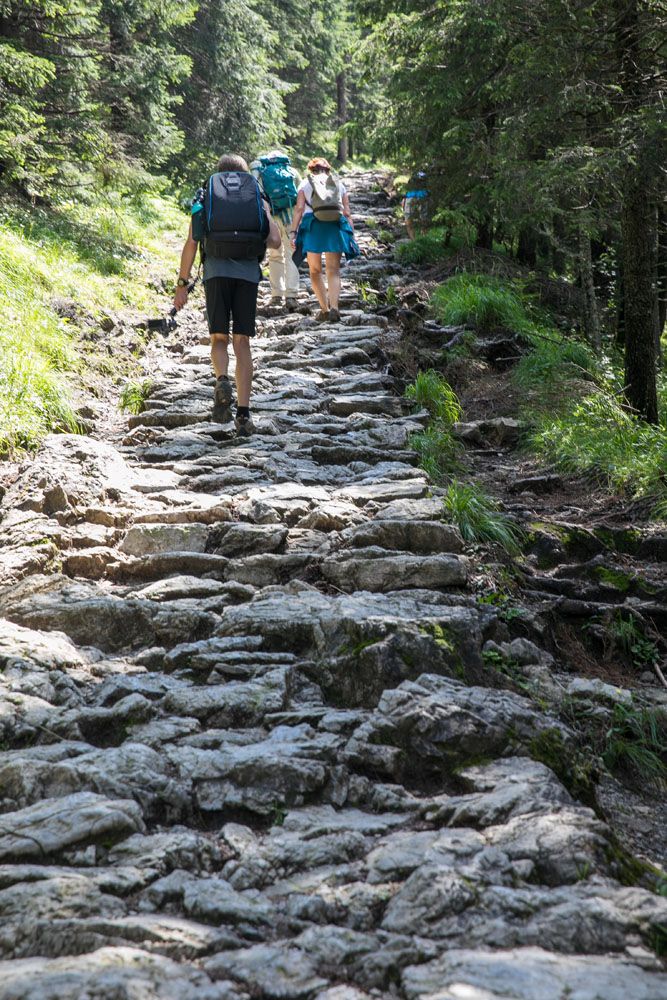 Steps on the Trail