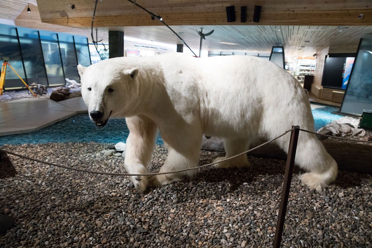 Svalbard Museum