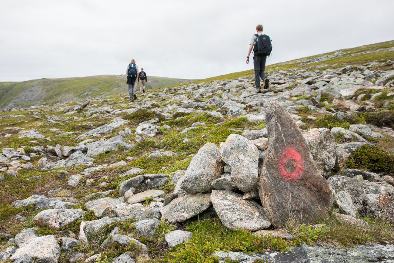 Trail Markers Stave Bleik