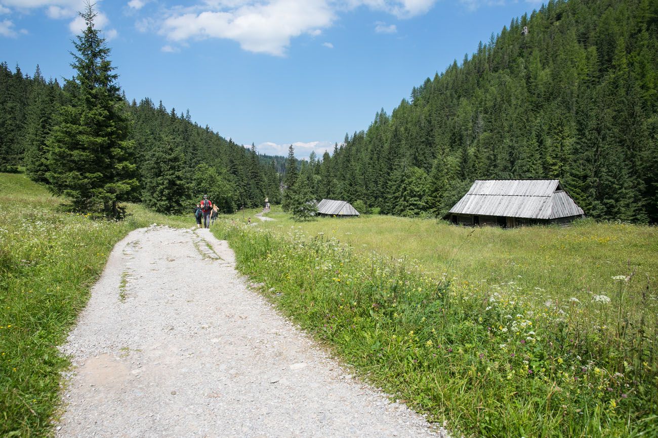 Valley with Cabins