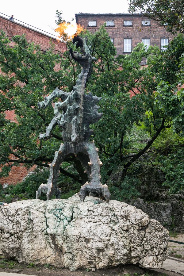 Wawel Dragon