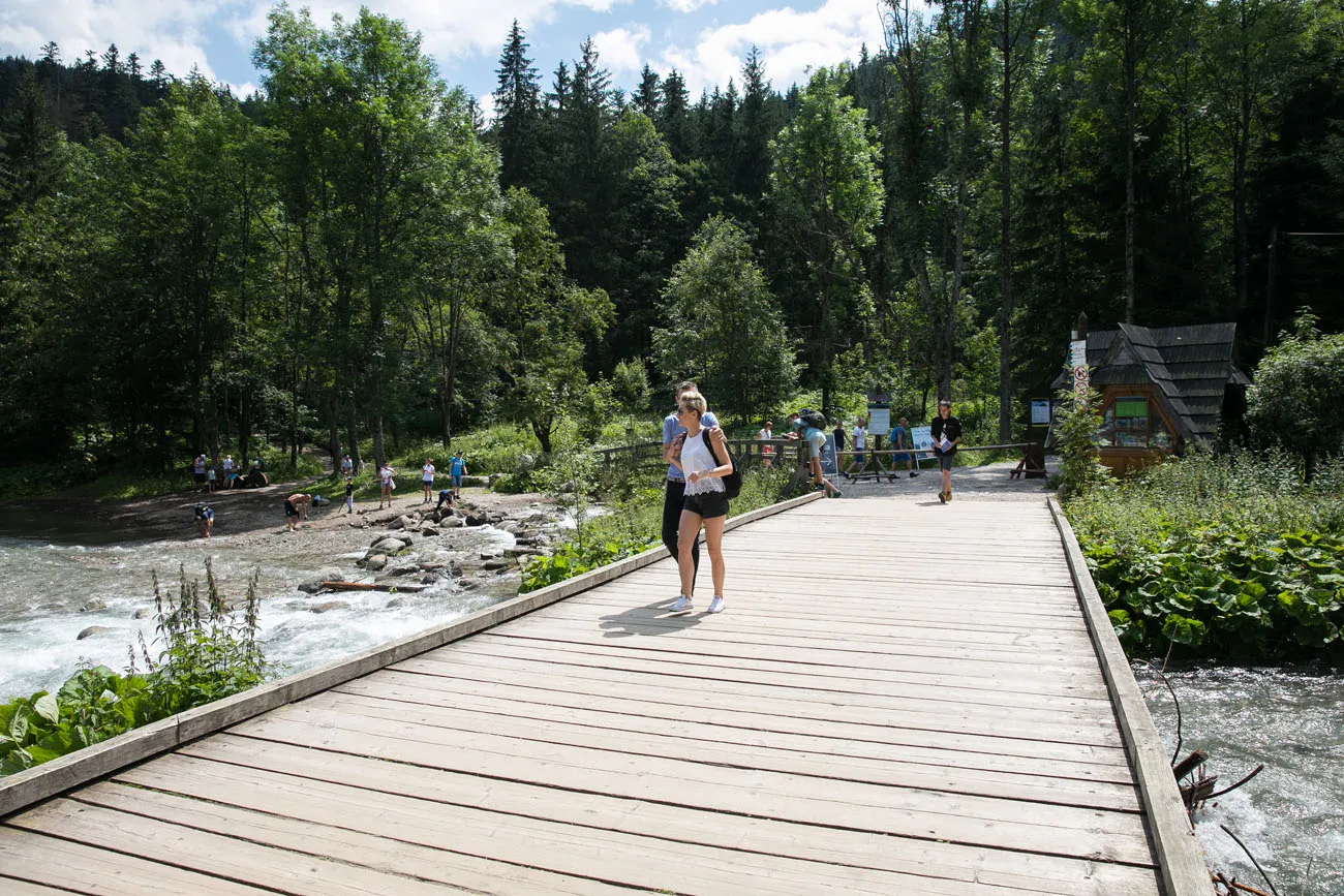Wooden Bridge