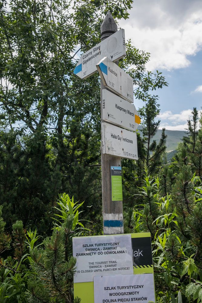 Zakopane Trail Markers