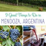 Mendoza Argentina Wine