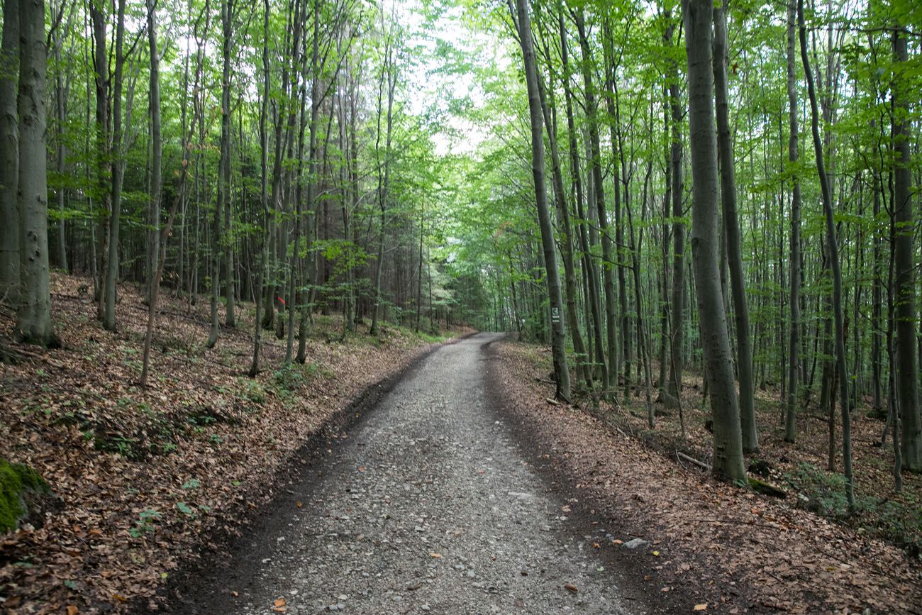 Slovak Paradise Green Trail